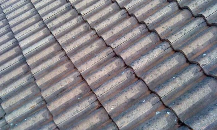 La Toiture Rhodanienne - Nettoyage de toiture d'une maison - Lyon