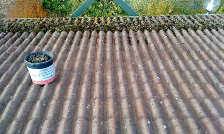 La Toiture Rhodanienne - Nettoyage de toiture d'une maison - Lyon